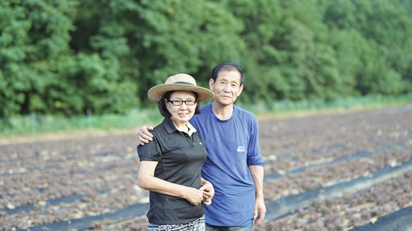 와송식초 영농조합법인 해동바이오 ‘화천와송’ 이광자 대표